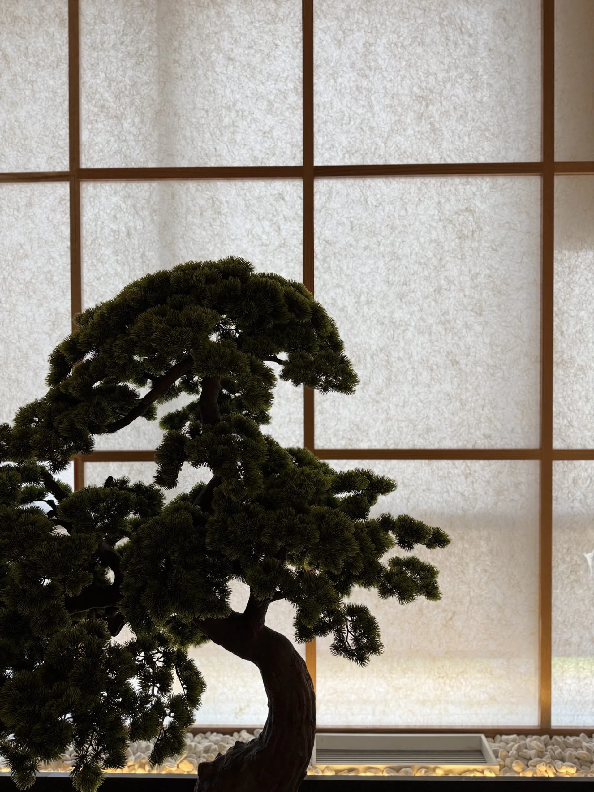 Axys Holding Office — view 9